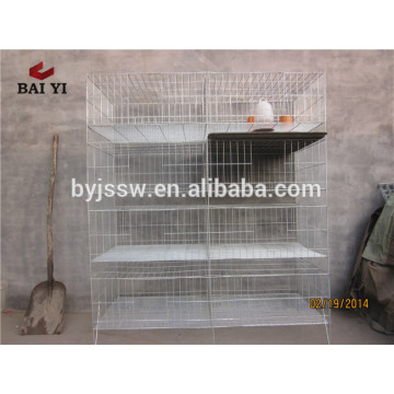 Trade Assurance China Factory Aves de corral Chick Egg Cage